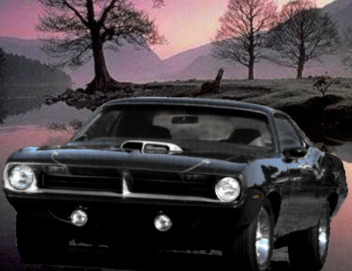 user posted image